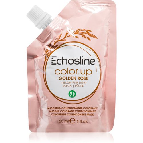 Color Up Mascarilla para unificar el color con efecto nutritivo tono Gorden Rose - Pesca 150 ml - Echosline - Modalova