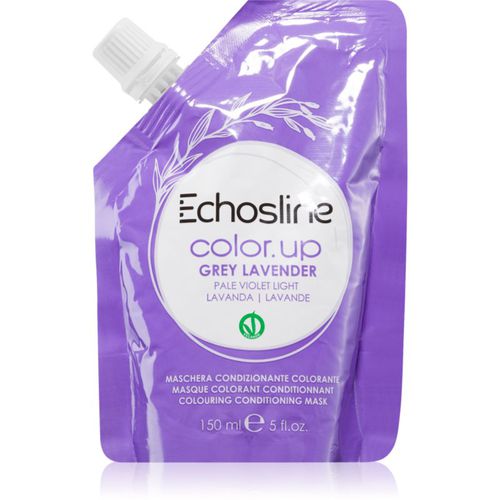 Color Up Farbmaske mit nahrhaften Effekt Farbton Grey Lavender 150 ml - Echosline - Modalova