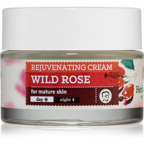 Herbal Care Wild Rose crema rassodante effetto antirughe 50 ml - Farmona - Modalova