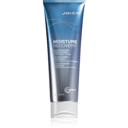 Moisture Recovery acondicionador hidratante para cabello seco 250 ml - Joico - Modalova