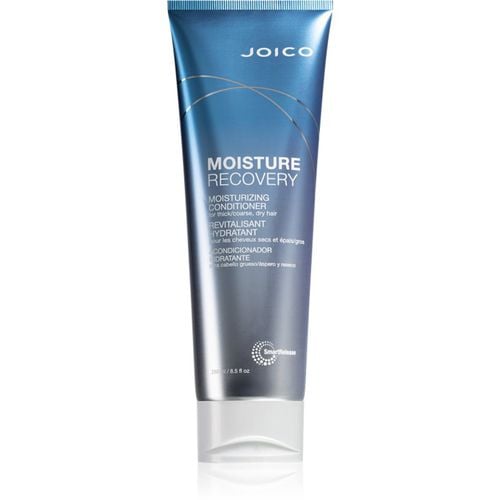 Moisture Recovery balsamo idratante per capelli secchi 250 ml - Joico - Modalova