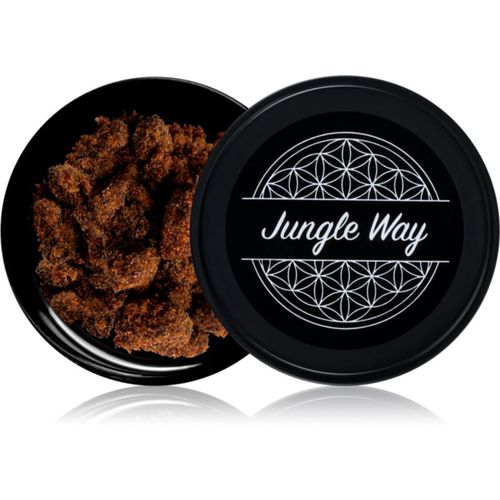 Cake Brown essenze da bruciare 20 g - Jungle Way - Modalova