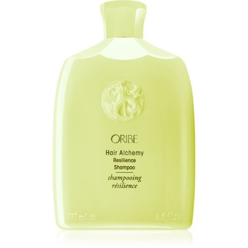 Hair Alchemy Resilience Shampoo champú revitalizador para cabello frágil 250 ml - Oribe - Modalova