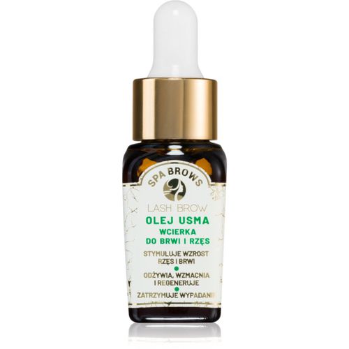 Spa Brows olio rigenerante per ciglia e sopracciglia 10 ml - Lash Brow - Modalova