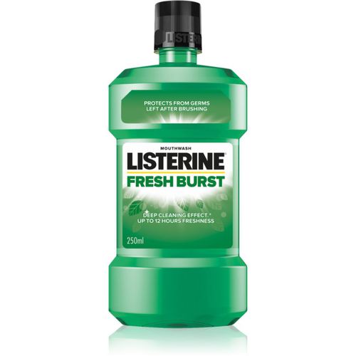 Fresh Burst collutorio antiplacca 250 ml - Listerine - Modalova