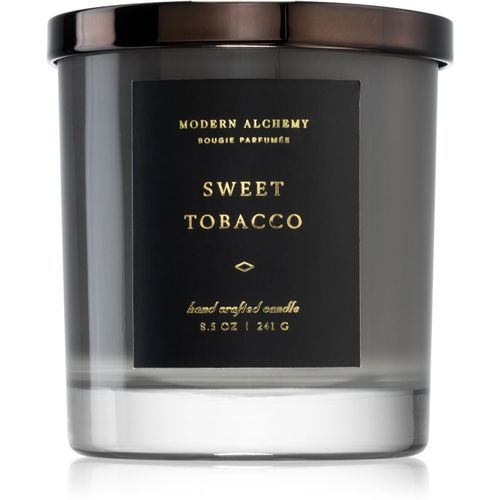 Modern Alchemy Sweet Tobacco candela profumata 241 g - DW Home - Modalova