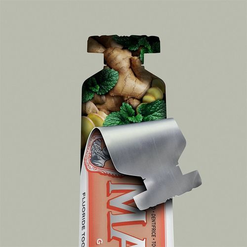The Mints Ginger pasta de dientes sabor Ginger-Mint 25 ml - Marvis - Modalova