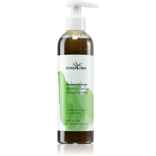 Hair Care shampoo liquido organico per capelli grassi 250 ml - Soaphoria - Modalova