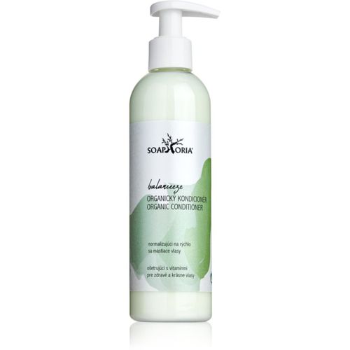 Hair Care acondicionador orgánico para cabello graso 250 ml - Soaphoria - Modalova