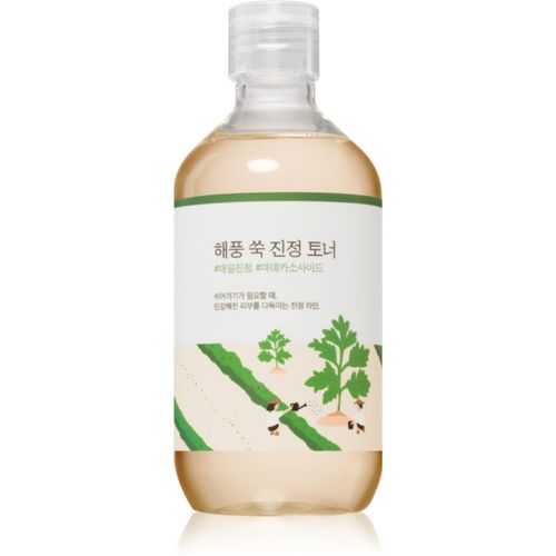 Mugwort Calming Toner beruhigendes Hauttonikum 300 ml - ROUND LAB - Modalova