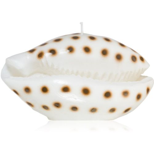 Shell candela decorativa 716 g - Rivièra Maison - Modalova