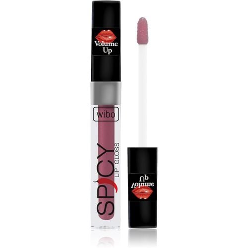 Lip Gloss Spicy brillo de labios para dar volumen 1 3 ml - Wibo - Modalova