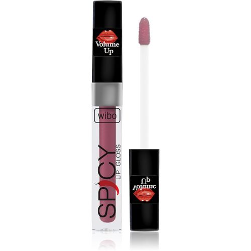 Lip Gloss Spicy Lipgloss für mehr Volumen 1 3 ml - Wibo - Modalova