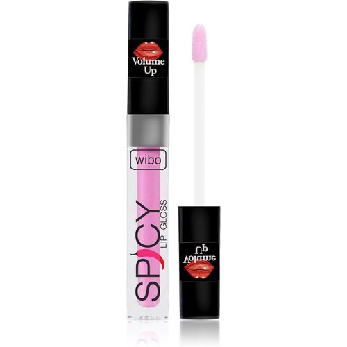 Lip Gloss Spicy brillo de labios para dar volumen 3 3 ml - Wibo - Modalova