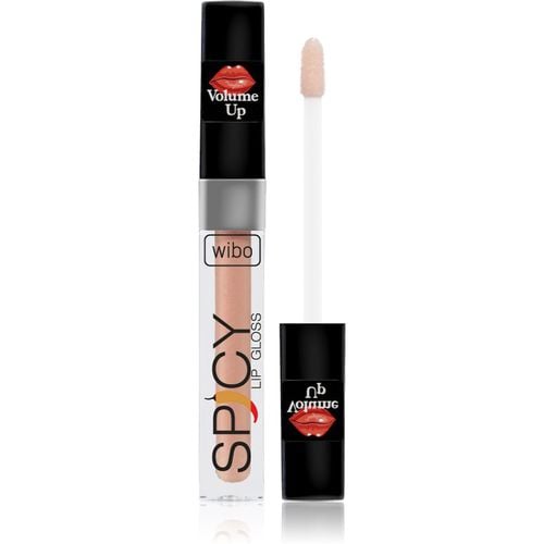 Lip Gloss Spicy brillo de labios para dar volumen 7 3 ml - Wibo - Modalova