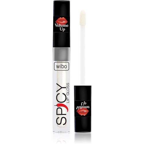 Lip Gloss Spicy brillo de labios para dar volumen 10 3 ml - Wibo - Modalova