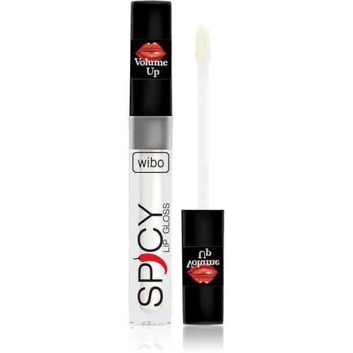 Lip Gloss Spicy Lipgloss für mehr Volumen 10 3 ml - Wibo - Modalova