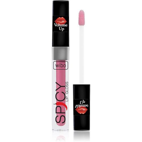 Lip Gloss Spicy brillo de labios para dar volumen 18 3 ml - Wibo - Modalova