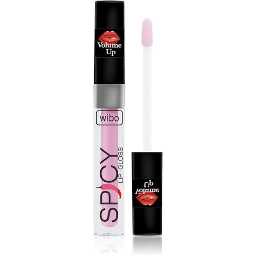 Lip Gloss Spicy brillo de labios para dar volumen 19 3 ml - Wibo - Modalova