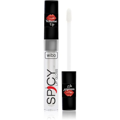 Lip Gloss Spicy brillo de labios para dar volumen 21 3 ml - Wibo - Modalova