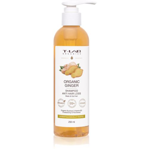 Organic Ginger Anti Hair Loss Shampoo shampoo rinforzante per capelli che si diradano 250 ml - T-LAB Organics - Modalova