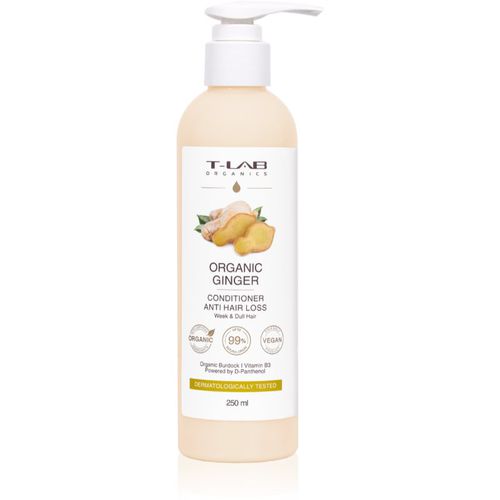 Organic Ginger Anti Hair Loss Conditioner acondicionador fortificante para la pérdida de densidad del cabello 250 ml - T-LAB Organics - Modalova