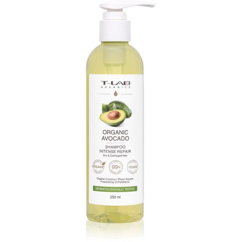 Organic Avocado Intense Repair Shampoo shampoo ricostituente per capelli rovinati e fragili 250 ml - T-LAB Organics - Modalova