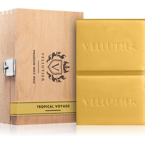 Tropical Voyage cera para lámparas aromáticas 50 g - Vellutier - Modalova