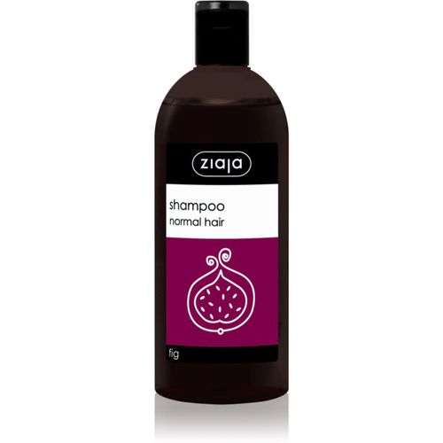 Family Shampoo Shampoo für normales Haar 500 ml - Ziaja - Modalova