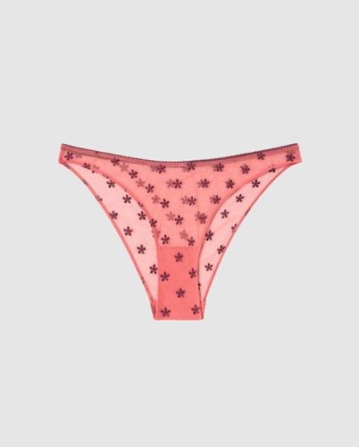 Mesh Bikini Briefs / - | Panties - / Panties / Bikini Briefs - Understatement - Modalova