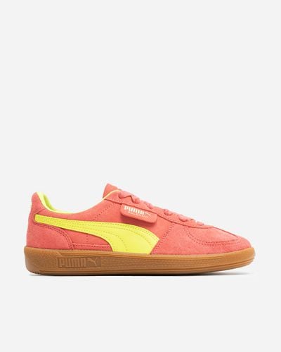 Palermo 43 - Salmon-Lime Sheen - Puma - Modalova