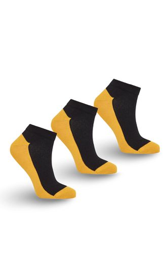ANKLE Box Set (x3 pairs) - GOTS Organic Cotton Socks Black, EUR 37-40 - KOMODO - Modalova
