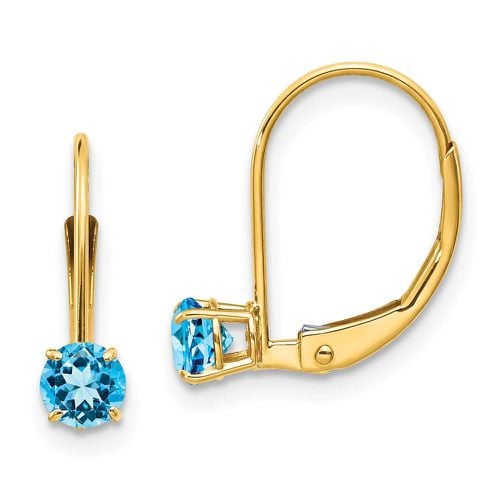 K 4mm Round December/Blue Topaz Leverback Earrings - Jewelry - Modalova