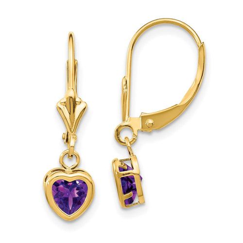 K 5mm Heart Amethyst Earrings - Jewelry - Modalova