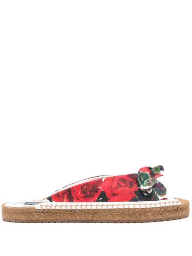 DOLCE & GABBANA - Printed Slides - Dolce & Gabbana - Modalova