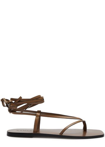 A. emery Nolan Lace-up Leather Sandals - - 36 (IT36 / UK3) - A.emery - Modalova