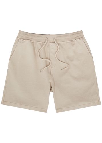 Cotton Shorts - - Xxl - COLORFUL STANDARD - Modalova