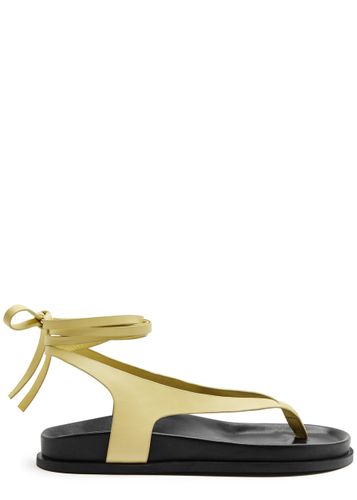 A. emery Shel Lace-up Suede Sandals - - 40 (IT40 / UK7) - A.emery - Modalova