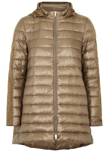 Hooded Quilted Shell Coat - - 38 (UK6 / XS) - Herno - Modalova