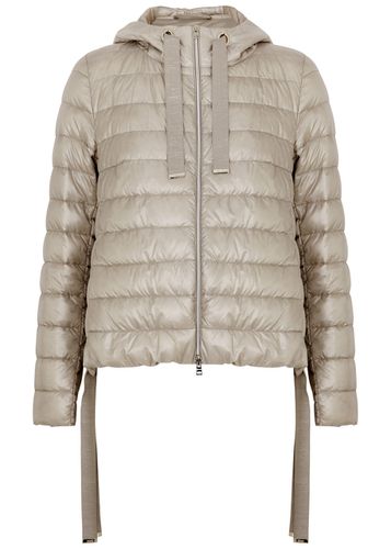 Hooded Quilted Shell Jacket - - 40 (UK8 / S) - Herno - Modalova