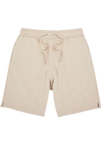 Logo-embroidered Stretch-cotton Shorts - - XL - AMI Paris - Modalova