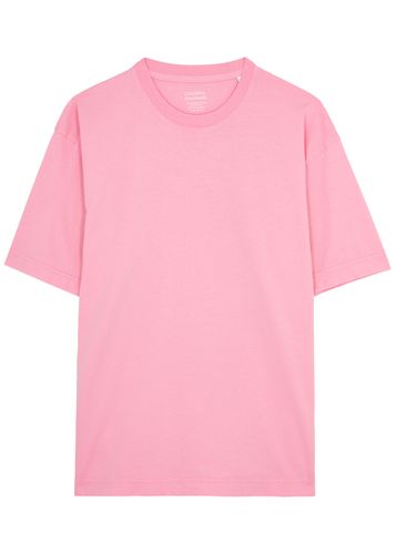 Cotton T-shirt - - M (UK12 / M) - COLORFUL STANDARD - Modalova