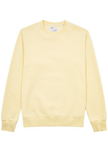 Cotton Sweatshirt - - Xxl - COLORFUL STANDARD - Modalova