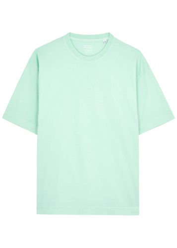 Cotton T-shirt - - XS (UK6 / XS) - COLORFUL STANDARD - Modalova
