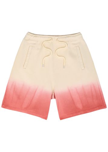 Dégradé Cotton Shorts - - S - Lanvin - Modalova