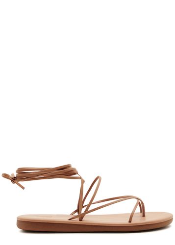 Lace-up Faux Leather Thong Sandals - - 7 - Ancient Greek Sandals - Modalova