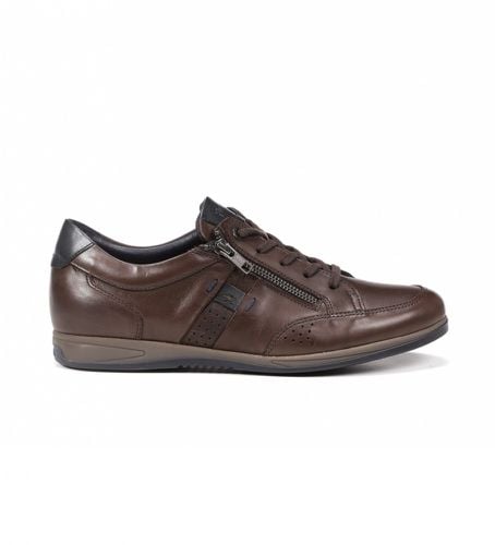 F1280 Chaussures en cuir Daniel F1280 Habana (39), Marron, Plat, 1 à 3 cm, Lacets, Casuel, Havane - Fluchos - Modalova