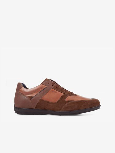 Geox Sneakers Brown - Geox - Modalova