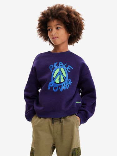 Arthur Children's sweatshirt - Desigual - Modalova
