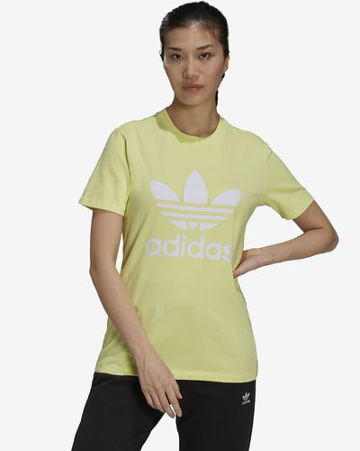 Trefoil T-shirt - adidas Originals - Modalova